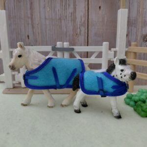 Ensemble ponette shetland-poulain shetland