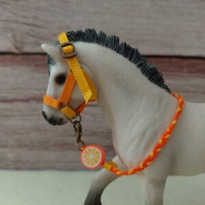 Licol "Orange"