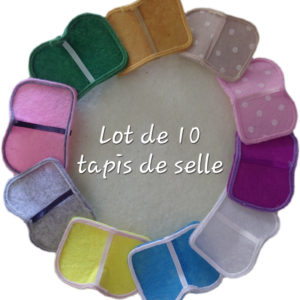 Lot 10 tapis de selle