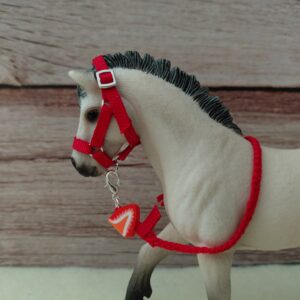 Licol "Tranche de Fraise"